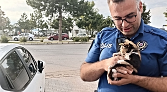 Beyşehir'de motorda mahsur kalan yavru kedi için seferberlik! Onu cep telefonundan açılan kedi sesi kurtardı