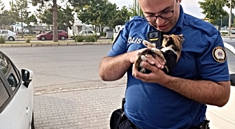 Konya Beyşehir'de polis, otomobil motorundaki yavru kediyi kedi sesiyle kurtardı