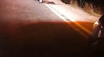 Yüksekova'da sürüye çarpan otomobilde maddi hasar oluştu, 4 koyun telef oldu