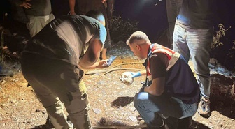 Mevlide gitmek için çıkmıştı, 15 aydır aranıyordu! Çobanın köpeği ormanda kafatası buldu, 50 metre ötede kimliği çıktı