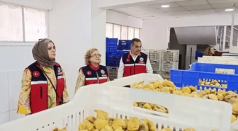 Aydın İnciri için Nazilli’deki tesislerde denetimler aralıksız sürüyor