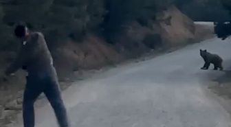 Bolu Mudurnu'da ayıyla karşılaşan arkadaş grubundan biri ayıyı taş atarak kovaladı