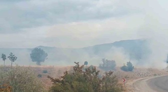 Bolu Seben'de yangın yaklaşık 8 dönüm araziye zarar verdi, HES'lere ulaşmadan söndürüldü