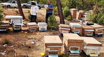 Emet İlçe Tarım ve Orman Müdürlüğü merkez ve Eğrigöz'de arılı kovan tespiti yaptı