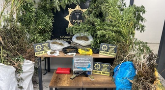 Hatay'da 14 kilo 752 gram esrar, 122 kök kenevir bulundu; 1 şüpheli tutuklandı
