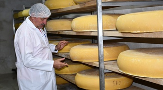 Kars'ın Boğatepe köyünde yıllık 400-500 ton gravyer peyniri üretiliyor