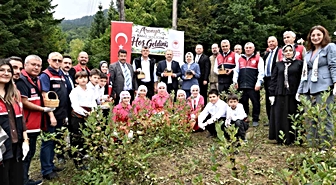 Kastamonu Şenpazar'da aronya hasadı başladı, yaklaşık 7 ton rekolte bekleniyor