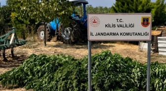 Kilis'te jandarma operasyonunda 40 kilo 500 gram esrar ve 65 kök kenevir bulundu
