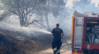 Muğla Milas'ta otluktan zeytinliğe sıçrayan yangın havadan ve karadan söndürüldü