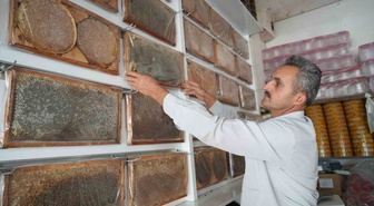 Muş Ovası'nda 710 arıcı, 290 bin kovandan yaklaşık 700 ton bal hasadı yaptı
