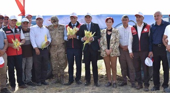 Tuşba'da 1.500 dekarda silajlık mısır hasadında dekardan 6-7 ton verim alınıyor