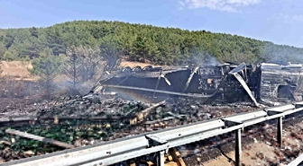 Uşak Banaz'da alkol yüklü tır bariyere çarpıp devrilip alev aldı, sürücü yaralandı