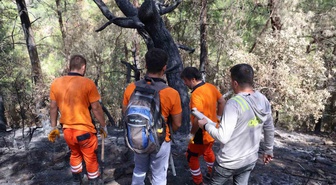 Adana Kozan'da 5 bin 903 hektarlık yangın sahasında ağaç damgalama başladı