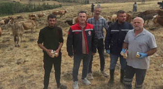 Bayburt Aydıntepe'de Tarım ve Orman Müdürlüğü yonca otlatmada şişkinlik uyarısı yaptı