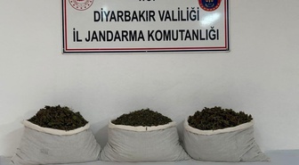 Diyarbakır'da jandarma 253 bin 752 kök kenevir, 42 kilo 600 gram esrar ele geçirdi