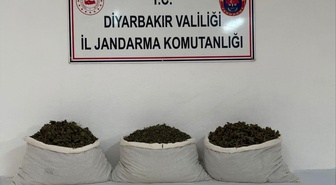 Diyarbakır'da operasyonda 25 şüpheliye işlem yapıldı, 253 bin 752 kök kenevir bulundu