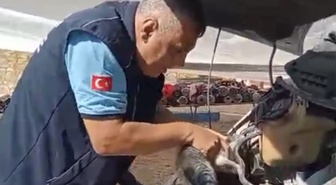 Gaziantep İslahiye'de motor bölümüne sıkışan yavru kedi 45 dakikada kurtarıldı