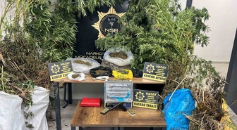 Hatay Antakya'da 122 kök Hint keneviri ele geçirildi, bir şüpheli tutuklandı