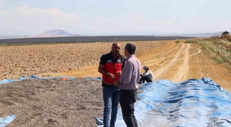 Karapınar'da İlçe Tarım Müdürü, ayçiçeği ve patates tarlalarında inceleme yaptı