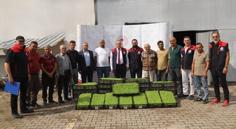 Kırıkkale'de 23 sera üreticisine 69 bin kıvırcık marul fidesi desteği verildi
