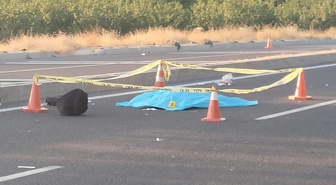 Malatya Darende'de otomobilin çarptığı 70 yaşındaki kadın yaşamını yitirdi