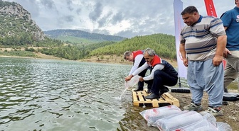 Mersin’de balıklandırma projesi 9 ilçede 347 bin yavru sazanı suyla buluşturdu