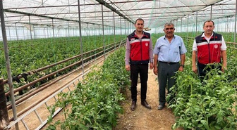 Simav'da İlçe Tarım ve Orman Müdürlüğü personeli seracı üreticileri ziyaret etti