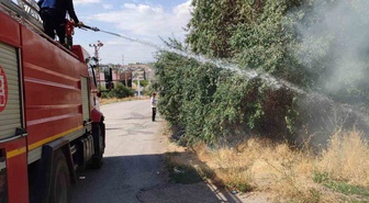 Van'ın Özalp ilçesinde bahçede çıkan yangın evlere sıçramadan söndürüldü