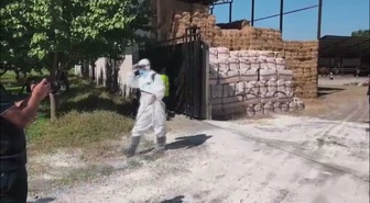 Iğdır'da şap hastalığına karşı 60 binden fazla büyükbaş aşılandı