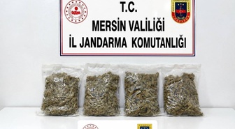 Mersin Toroslar'da 2 kilo 100 gram esrar ele geçirildi, şüpheli tutuklandı.