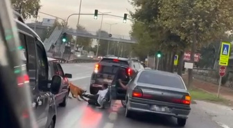 Sakarya Adapazarı'nda köpek vatandaşı ayaklarından ısırdı, anlar kameraya yansıdı