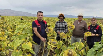 Bayburt Aydıntepe'de 350 dekar ayçiçeğinde hasat öncesi tarla kontrolü yapıldı