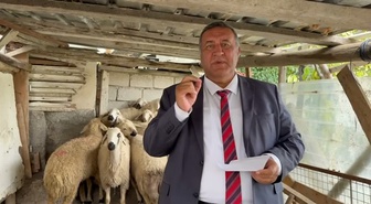 CHP'li Gürer, kırmızı ette 2 yılda yarım milyon ton kayıp olduğunu söyledi