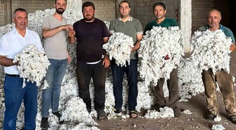 Gaziantep Araban'da 5 bin dönümde pamuk hasadı başladı, ilk ürüne altın verildi