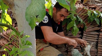 Hatay İskenderun'da boruya sıkışan yavru kedi itfaiye ekiplerince kurtarıldı