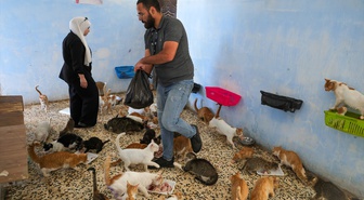 Humus'ta genç, devletin tahsis ettiği binayı 350 civarı sokak hayvanına barınak yaptı