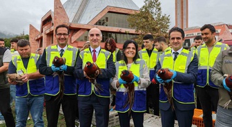 OMÜ Kurupelit Kampüsü'nde 200 sülün doğal yaşam alanına salındı