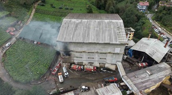 Rize Çayeli'de Okumuş Çay Fabrikası'nın ambalaj deposundaki yangında can kaybı olmadı