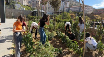 Sason İlçe Halk Kütüphanesi'nde öğrenciler ürettikleri sebzeleri hasat etti