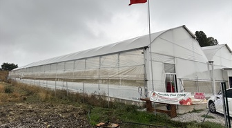 Yalova'da iki girişimci kadın, 2 bin 200 metrekarelik serada çilek üretiyor
