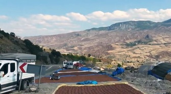 Giresun'da fındık üreticileri yağış nedeniyle kurutmayı iç kesimlere taşıdı