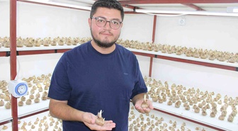 Kayserili girişimci, 900 bin TL'lik safranı Kayseri'de ilk kez yetiştirmeye başladı