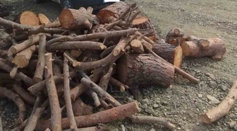 Orman ekipleri Pazarcık'ta kaçak orman emvali tespit etti, araç ve emvale el konuldu