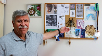 Oğlunu 1 yaşında kaybeden Prof. Dr. Rüstem Hayat, Erzurum'da keşfettiği yeni sinek türüne onun adını verdi