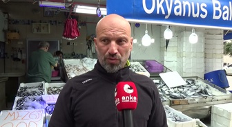 Sinop'ta balıkçılar 25 günde bol palamut tuttu ancak gelir masrafları karşılamıyor