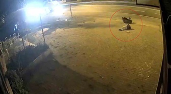 Trabzon Arsin'de 17 yaşındaki motosiklet sürücüsü trafik levhasına çarpıp yaralandı
