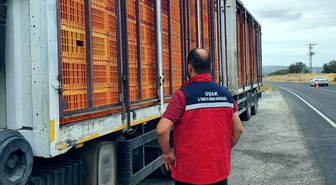 Uşak'ta tarım ve jandarma ekipleri hayvan nakil belgelerini denetliyor