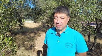 BAÜN'lü Kıvrak, zeytin hasadında ortaklaşa ve makineli yöntemi önerdi