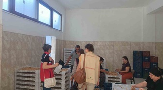 Bozdoğan'da AB tescilli Aydın inciri için saha denetimi sürdürülüyor