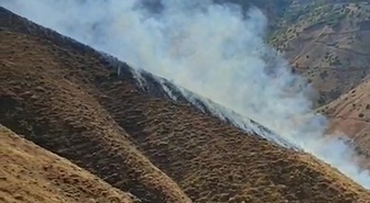 Elazığ Palu Akdağ'da çıkan örtü yangını söndürüldü, mahsur kaplumbağa kurtarıldı